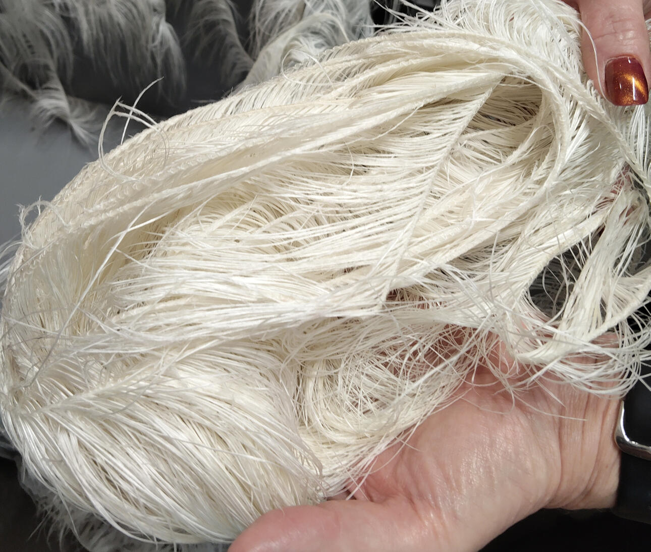 processed ostrich feathers trimming