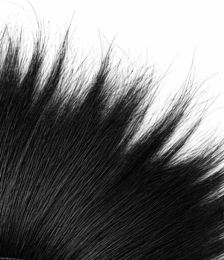 Burnt peacock feathers trim Burnt peacock feathers trim
