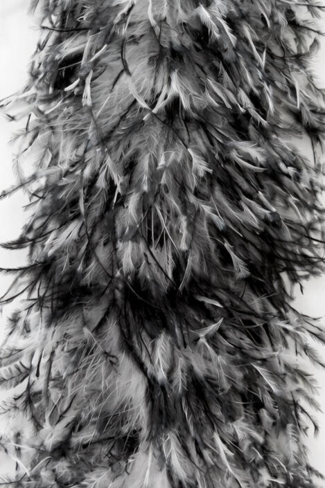 barred dye ostrich feathers boa barred dye ostrich feathers boa
