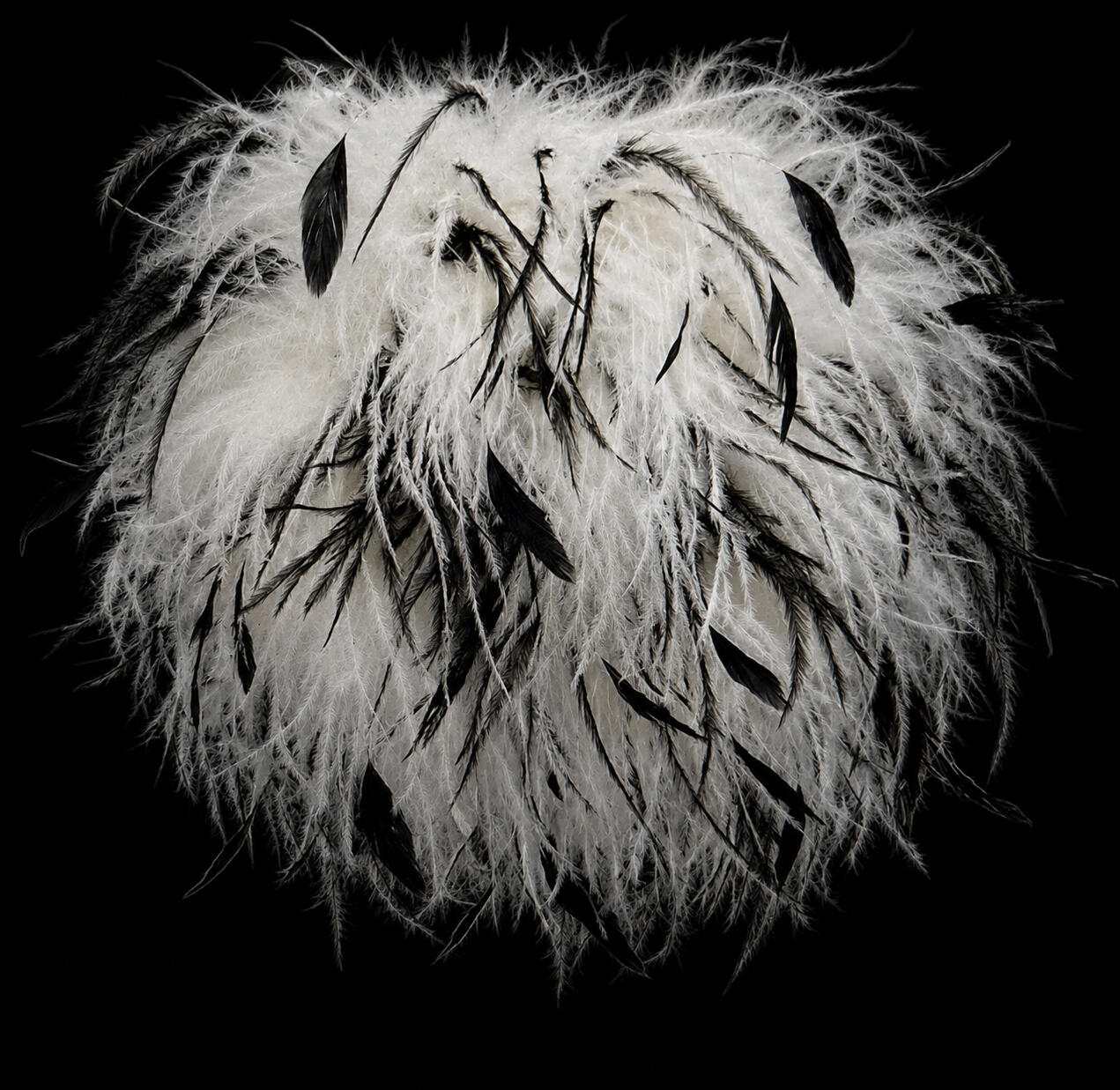 ostrich feathers thread