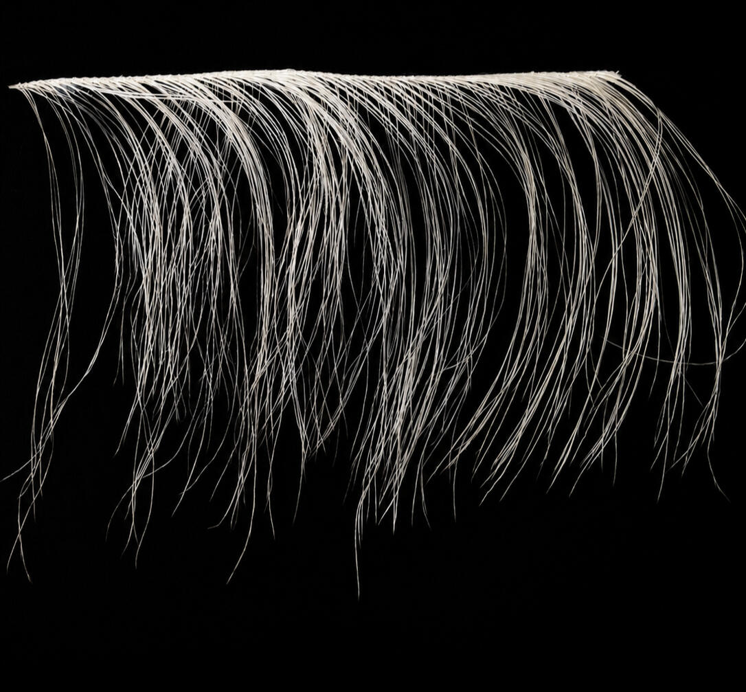 ostrich feathers thread ostrich feathers thread
