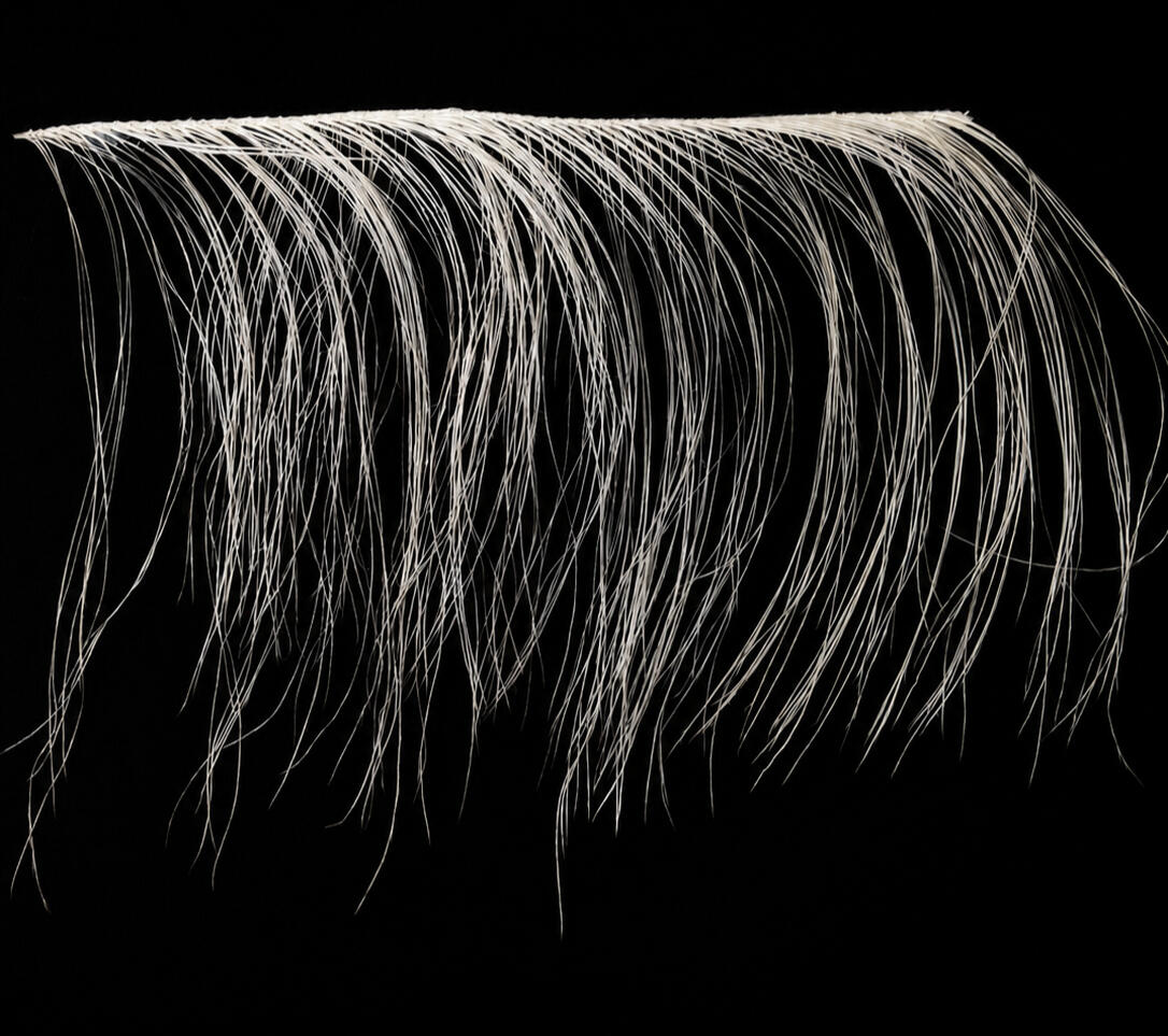 ostrich feathers trim wet effect ostrich feathers trim wet effect