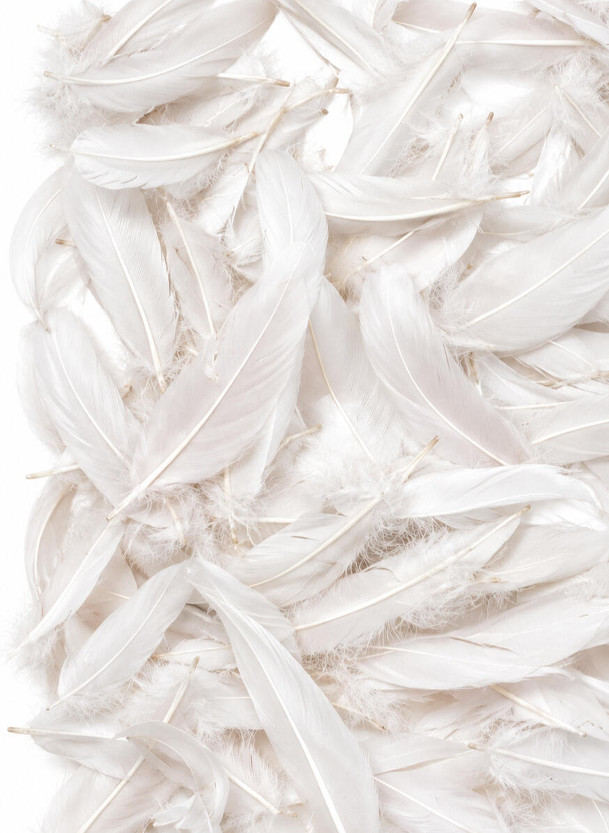 ostrich feathers trim wet effect