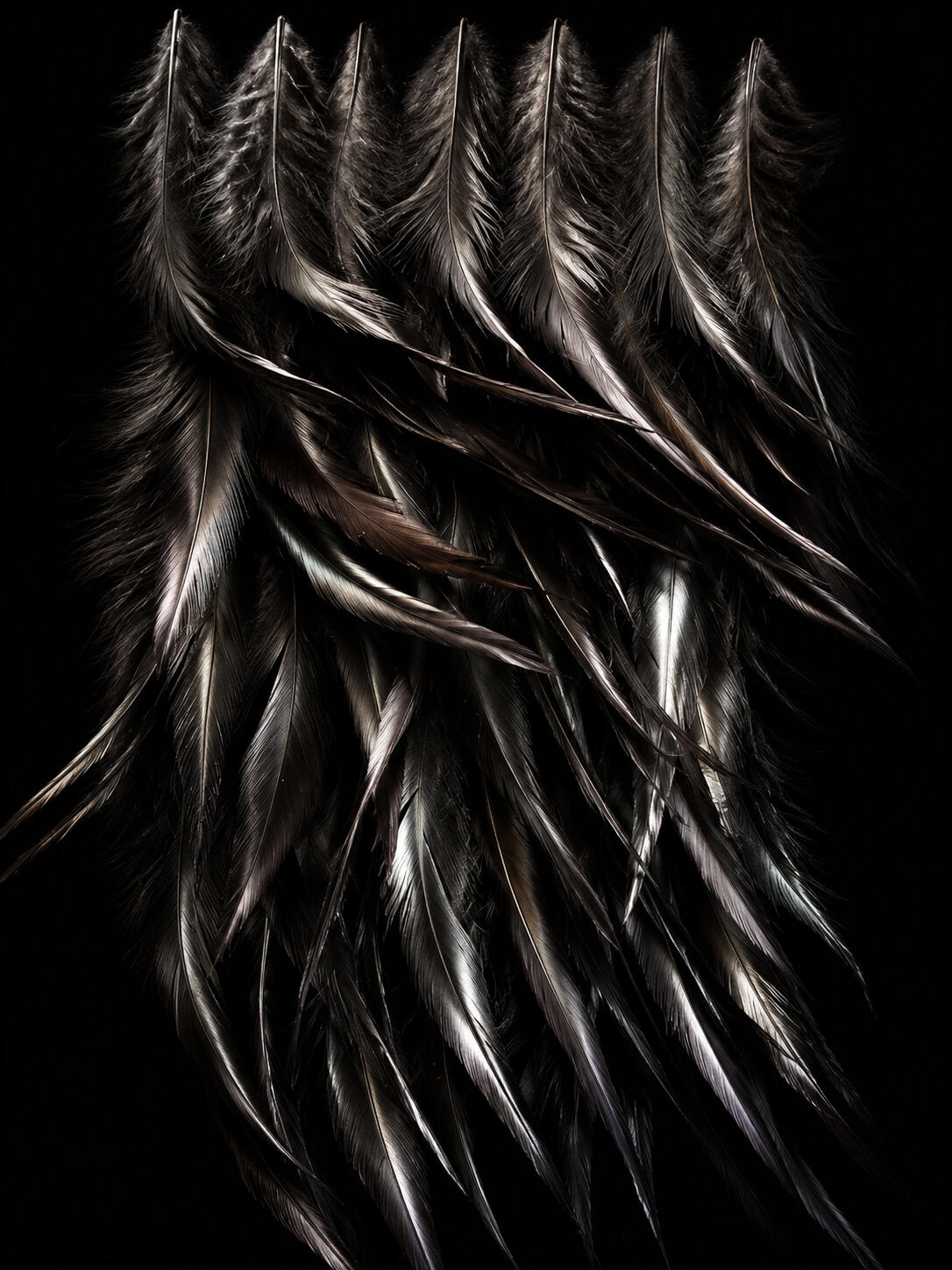 chicken feathers allover